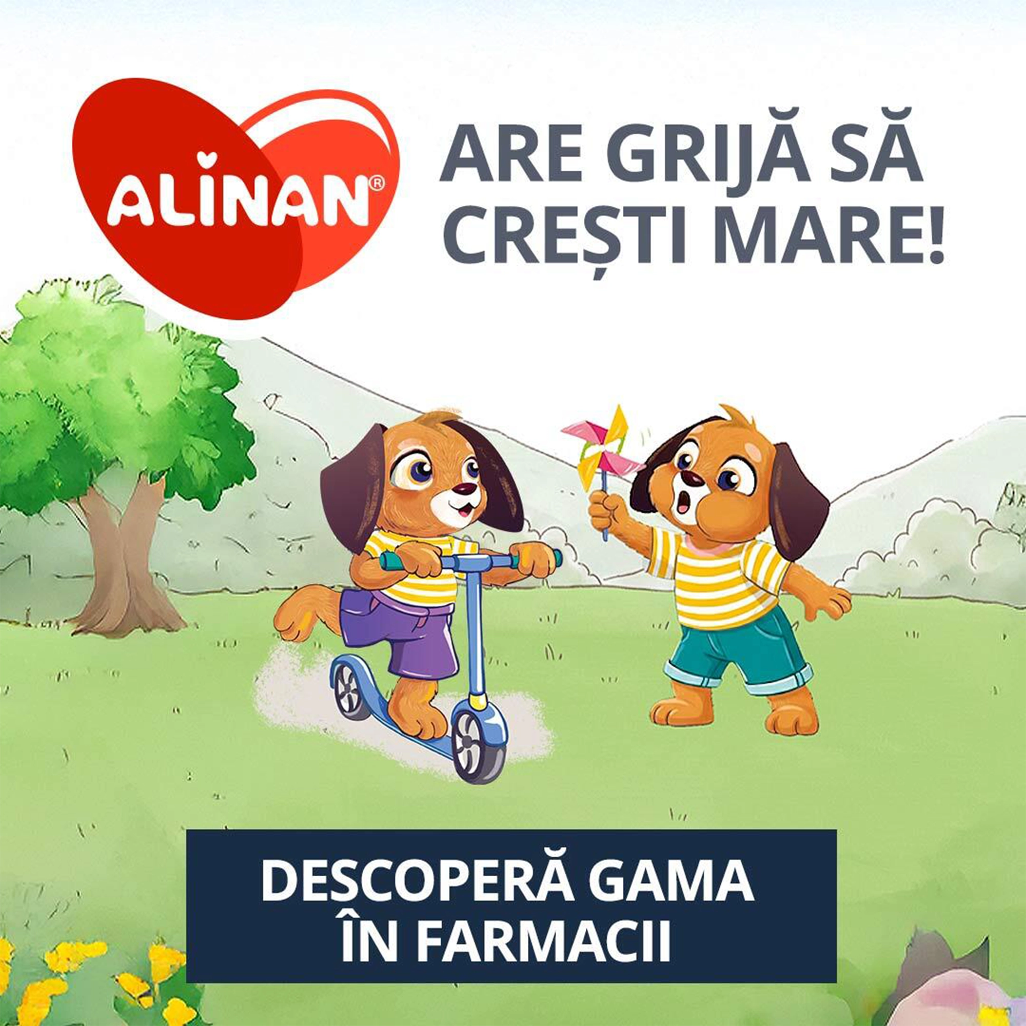 Descopera gama Alinan